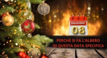 Perché secondo la tradizione l’8 dicembre si fa l’Albero di Natale