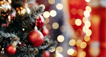 Non in un punto qualunque della casa: posiziona qui l’albero di Natale e verrai baciato dalla fortuna