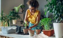 donna con pianta e mucchio sale